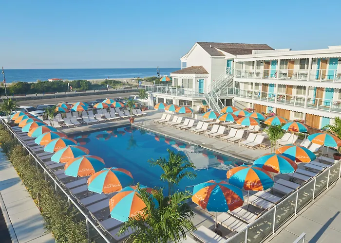 Beach hotel: Beach Shack